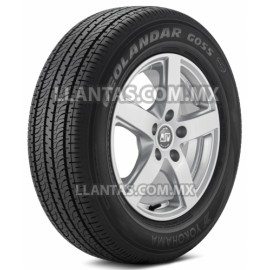 GEOLANDAR G055G